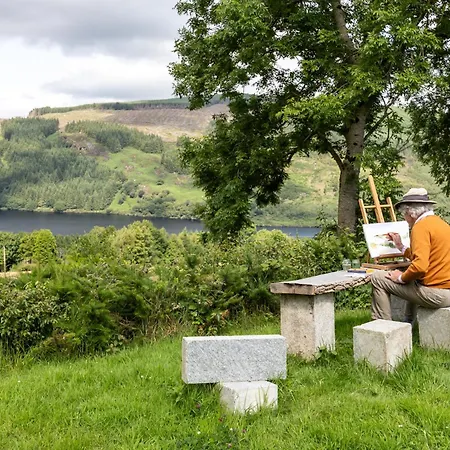 Ld1000 ,lough Dan Carrigeershinnagh